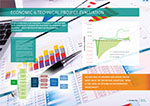 economic and project evaluation